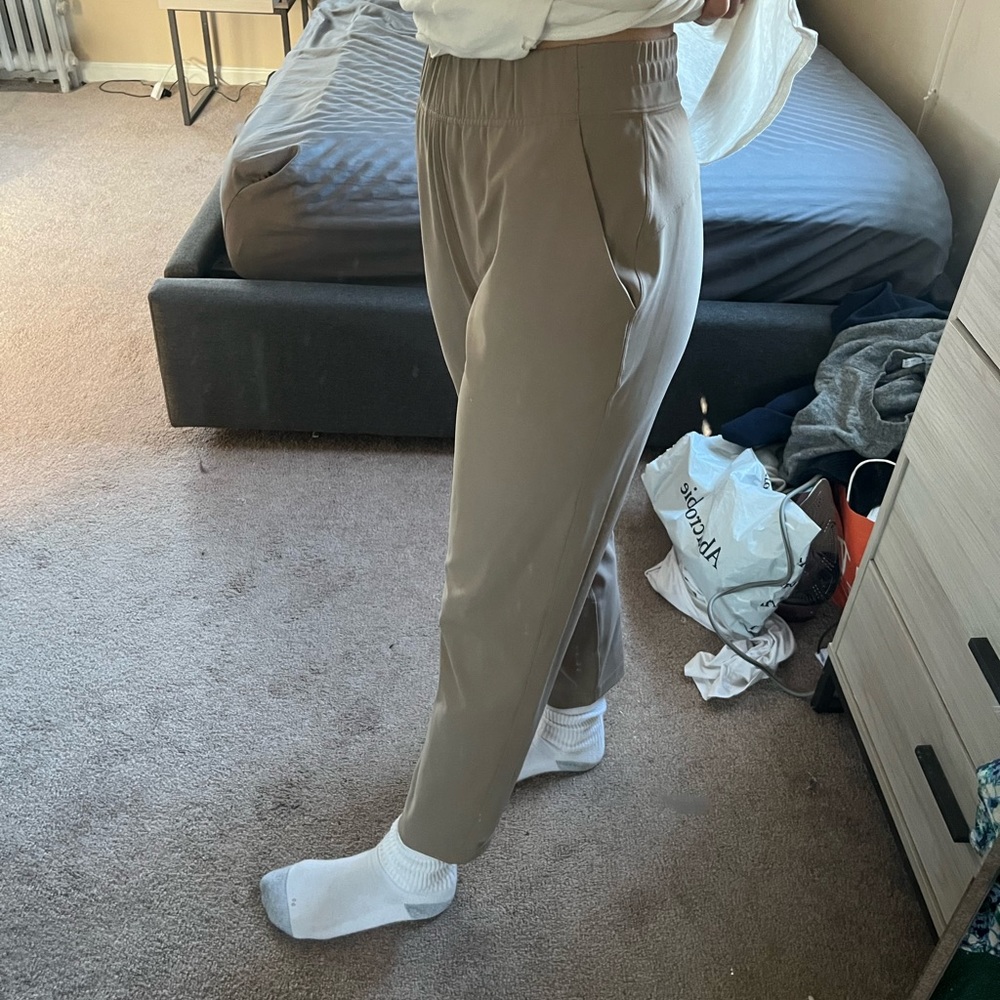 Aritzia jogger pants
